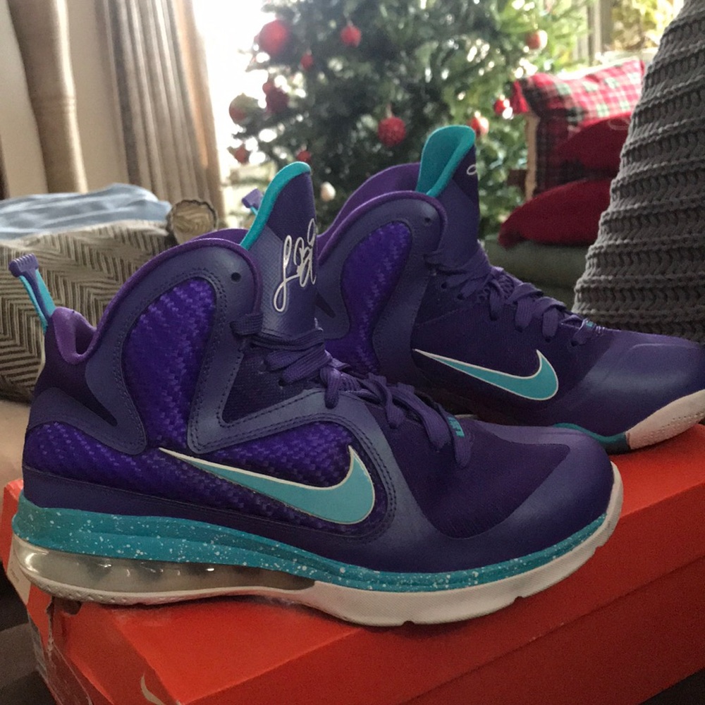 Nike Lebron 9s (GS) Hornets